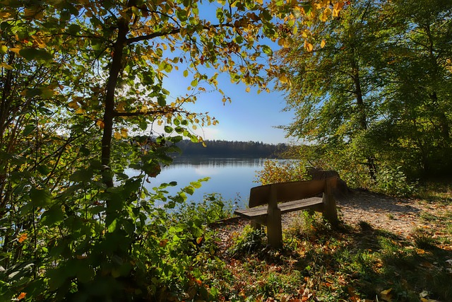 队友接连被罚下！维尼修斯讽刺裁判：多来点红牌吧！